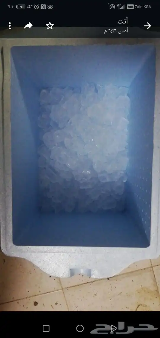 حليب ولبن بقري طازج 7