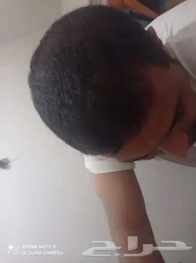 منتج ممتاز للشعر 2