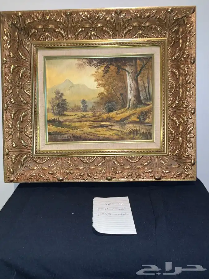 لوحة تشكيلية رسم  نتج أكثر من جميلة 0