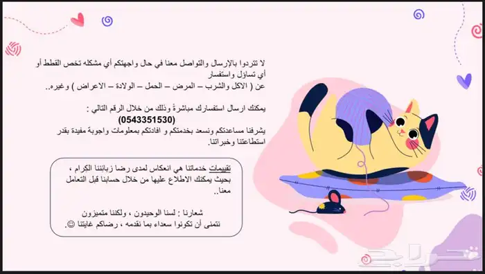 فندقة و عناية كاملة بالقطط 5