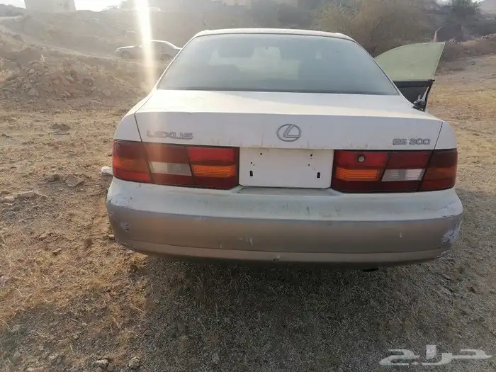 جده مكه القنفذه 6