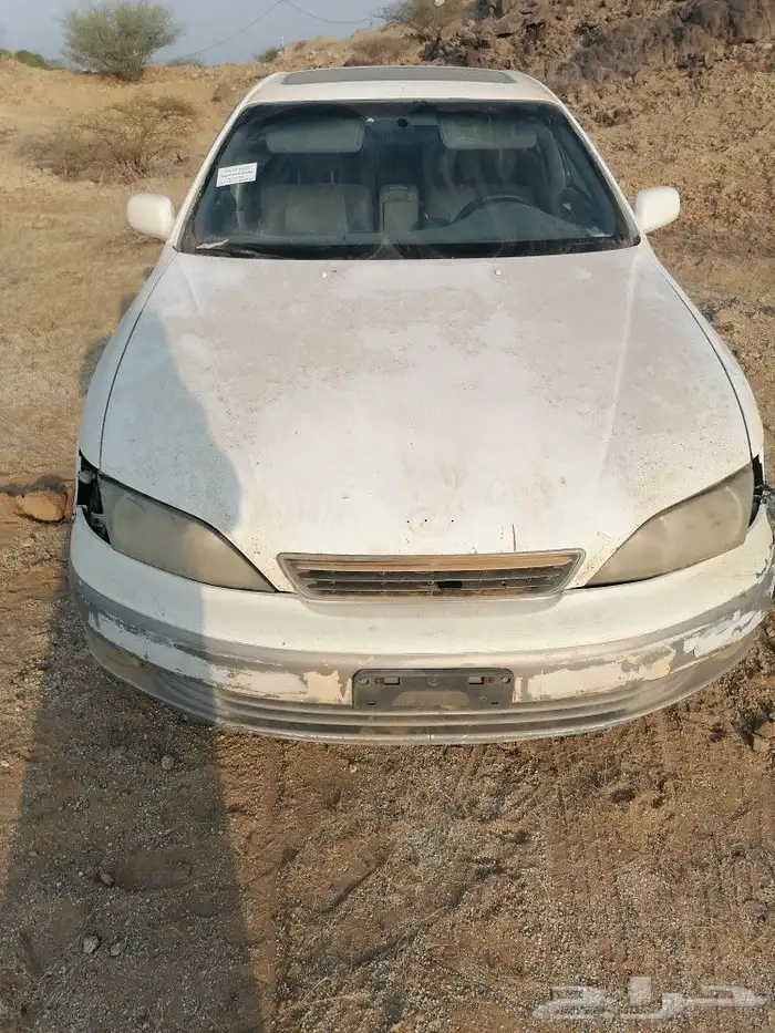جده مكه القنفذه 2