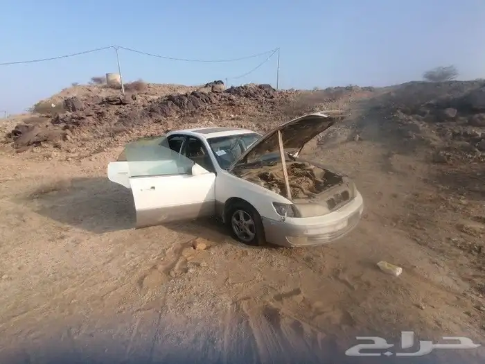 جده مكه القنفذه 31