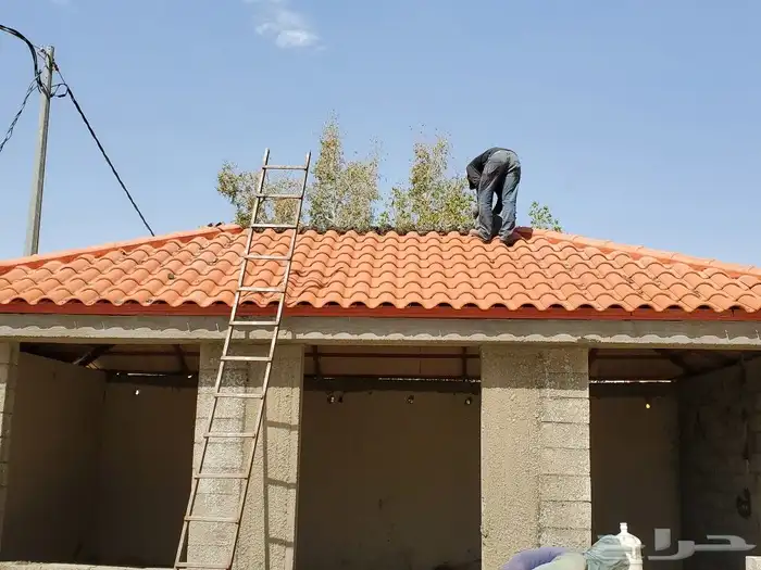 مجمعة الارطاوية الزلفي الغاط شقراء الدوادمي 20