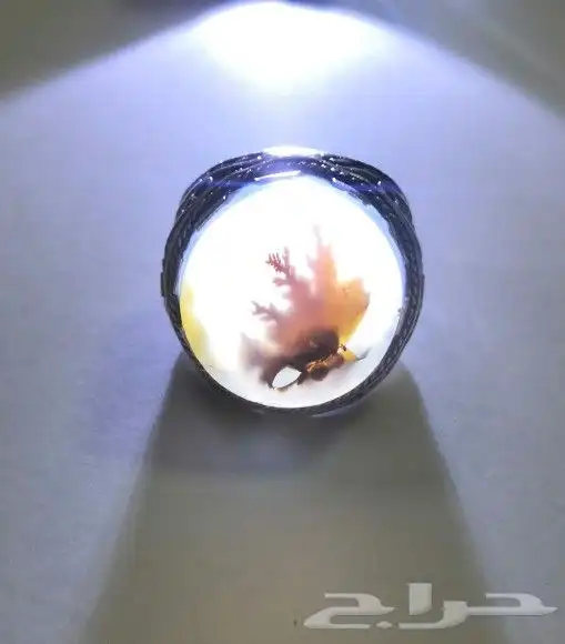 خاتم عقيق يماني شجري 1