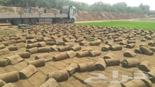 جده جده جده 1