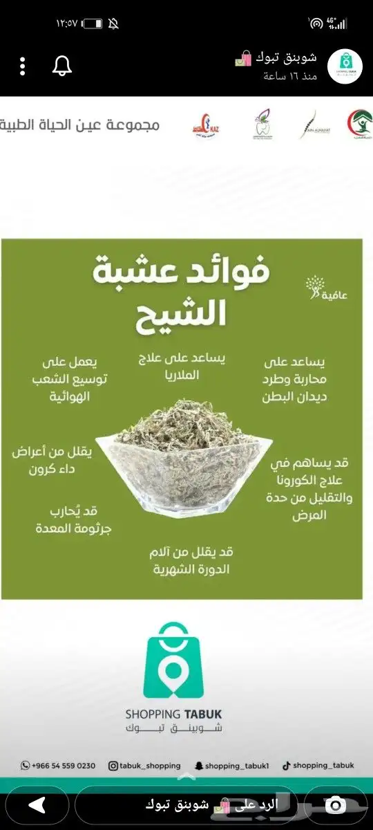 زعتر بري جديد 2