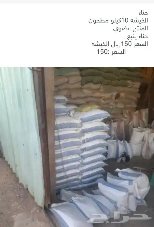 حناء ضواحي ينبع نضمن الجوده   4