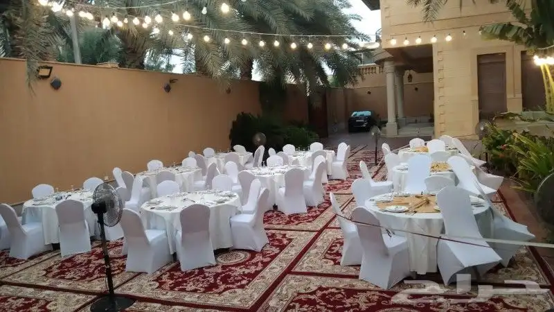 تاجير لوزم مناسبات كراسي شفاف كراسي ذهبي فرش 1