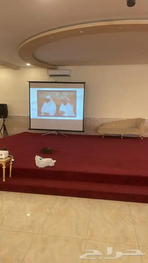 صوتيات وبروجكتر 11