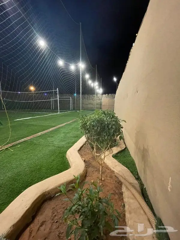 مخيم الايام العادية 350 لليوم 20