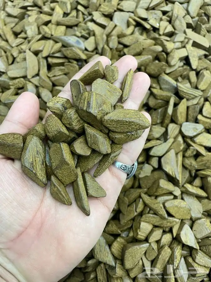 عود دقة مروكي دبل سوبر محسن كسر مباخر 0