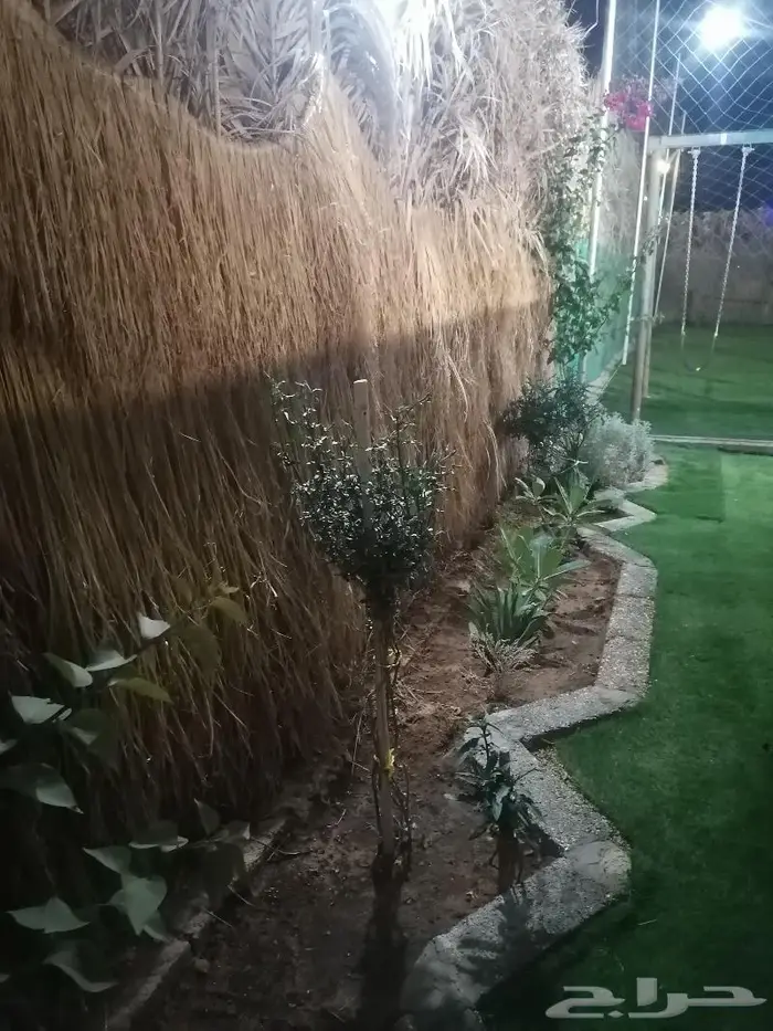 استراحة للايجار اليومي 5