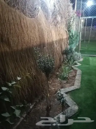 مخيم ام احمد عرض خاص 13