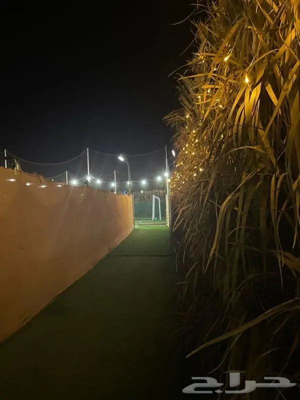 مخيم عروض التأجير 350 لليوم 11