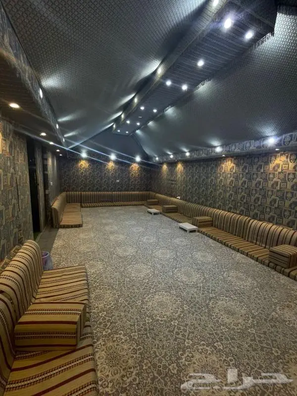 مخيم عروض التأجير 350 لليوم 12