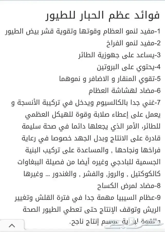 عظم حبار للطيور حجم سوبر جامبو جمله فقط 3