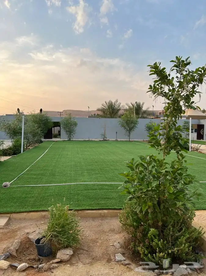 استراحة ومنتجع لافينا للإيجار اليومي 14