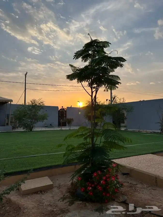 استراحة ومنتجع لافينا للإيجار اليومي 15