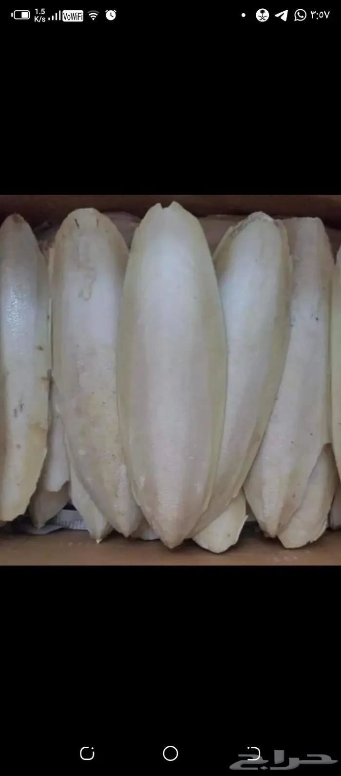 عظم حبار للطيور حجم سوبر جامبو جمله فقط 6