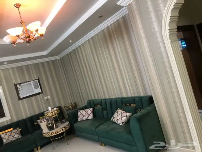 باركيه خشب صيني موصفات المانيا 65  شامل التركيب الاكسسورات 47