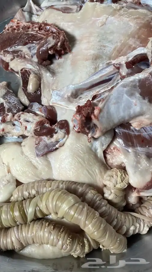 طبخ سليق طائفي - حنيذ بالمرخ ونوفر لك الذبايح والتوصيل 2