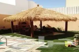 جريد وسعف نخل عسف 8