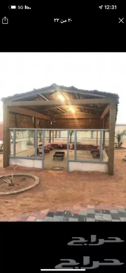 جريد وسعف نخل عسف 4