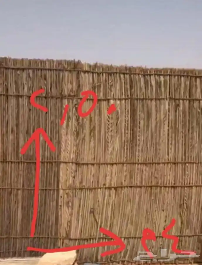 جريد وسعف نخل عسف 0