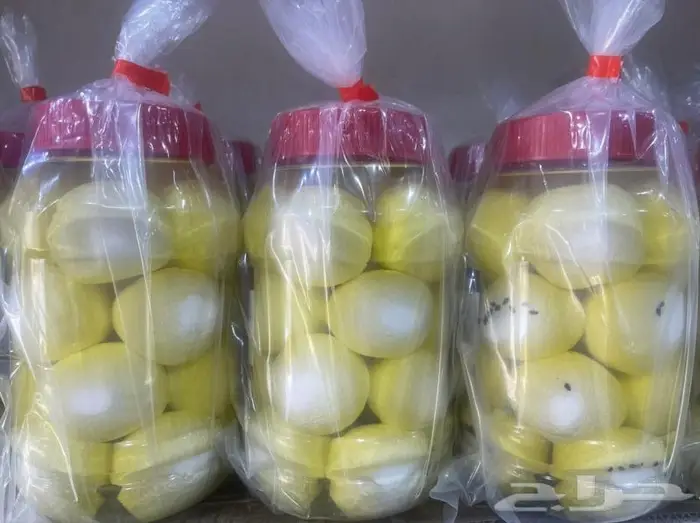 زيت زيتون بكر صافي 5