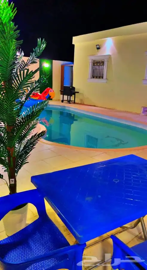 شاليه أحلى الليالي قسمين عرض الخميس 490 قسمين 2
