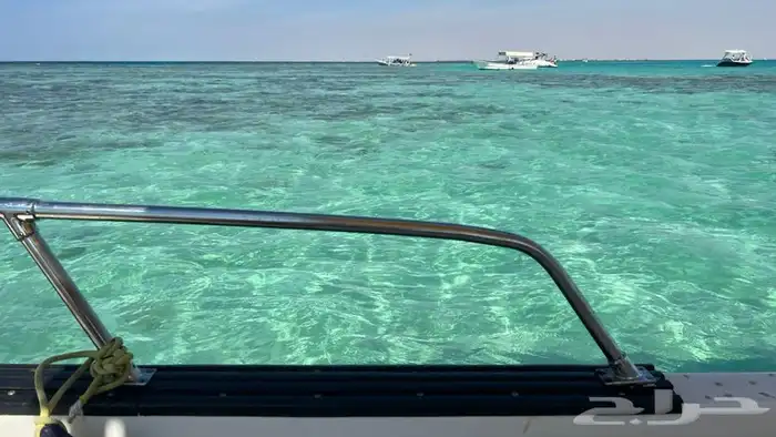 بياضة عروض 1