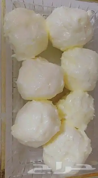 سمن غنمي ماعز ابيض سادة واصفر مبهر بسعر الجملة 3