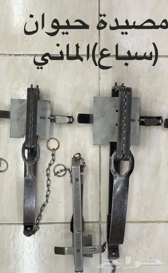 مصيدة حيوان حيوانات فخ 0