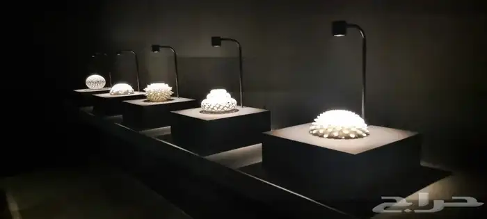 تصوير مهرجانات متاحف معارض وغيرها 17