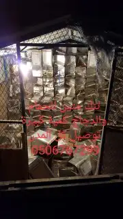 سطول تنك لتربية حمام طيور كميات ضخمة توصيل 12