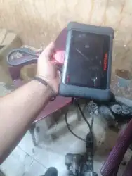 دودة دركسيون 17