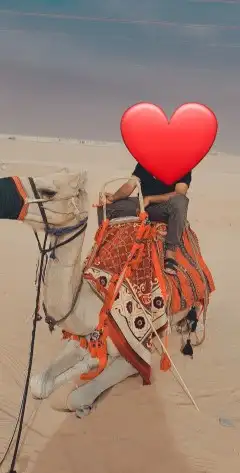 ايجار جمال 9