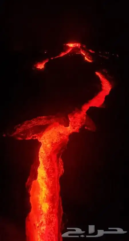 تصوير مهرجانات متاحف معارض وغيرها 3