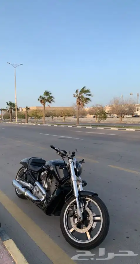 قزوز هارلي V ROD او نايت ROD 5