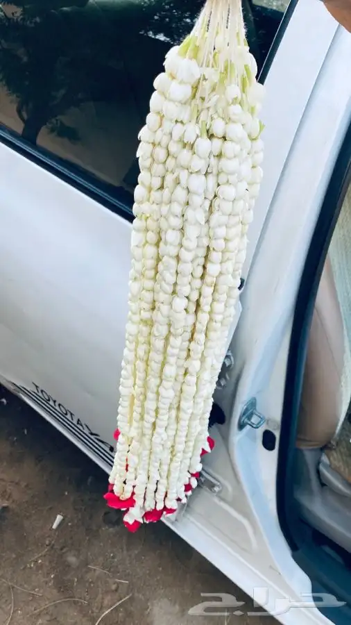 مسابح فل 0
