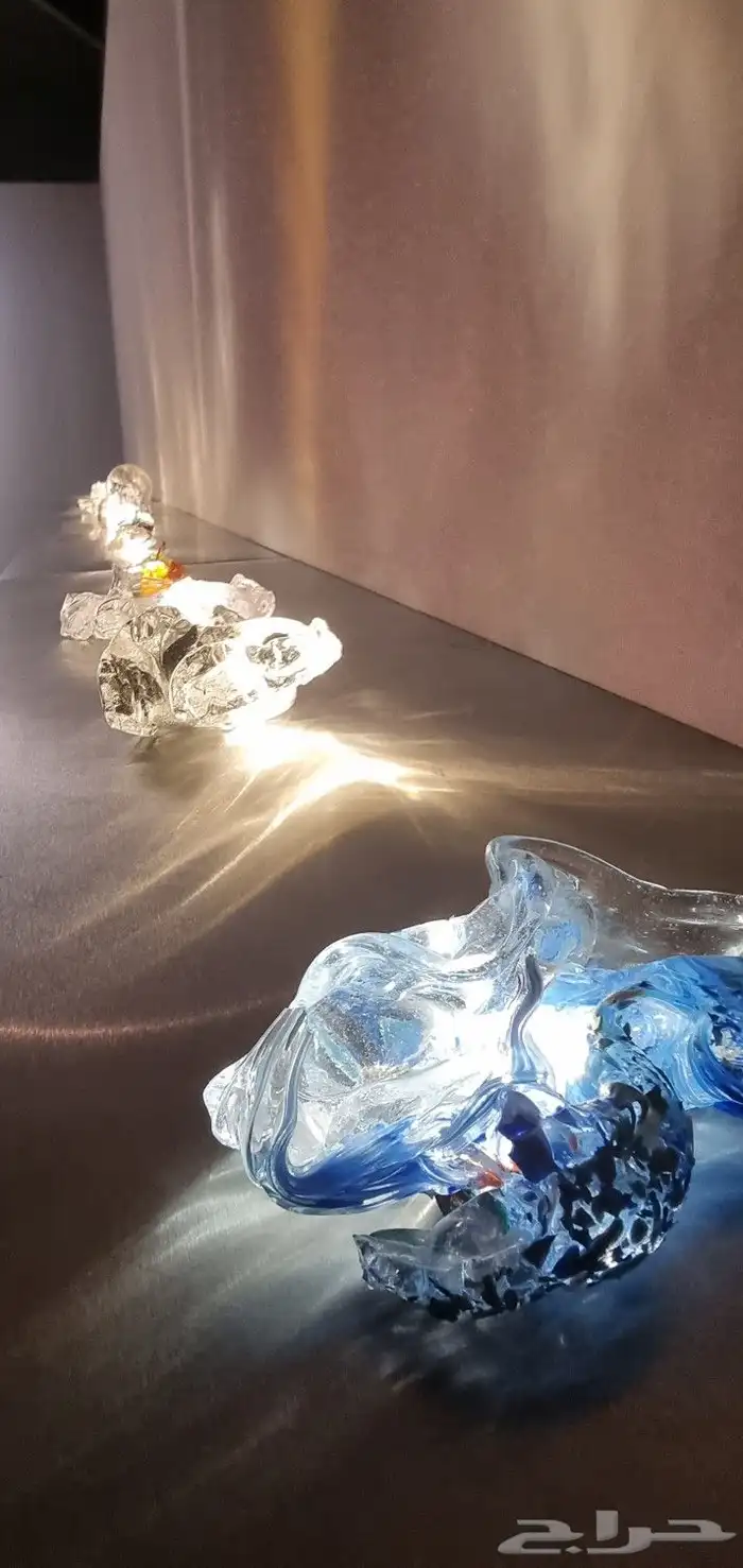 تصوير مهرجانات متاحف معارض وغيرها 30