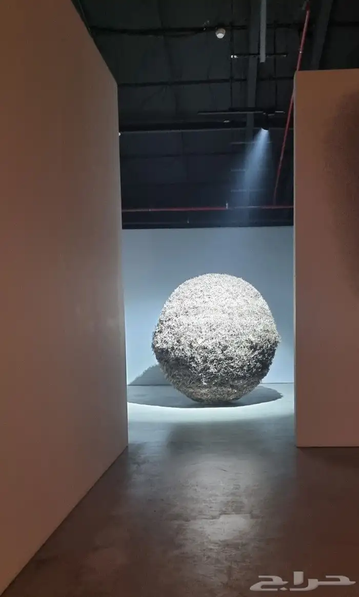تصوير مهرجانات متاحف معارض وغيرها 24