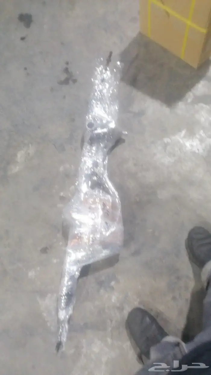 دودة دركسيون 0