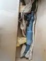دودة دركسيون 24