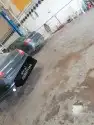 دودة دركسيون 16