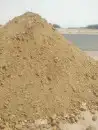 قلابات سكس وشيولات وبكلينات للايجار 2