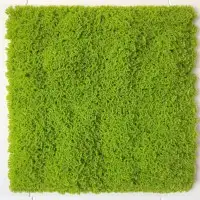 عشب صناعي وجداري وخشب مضلع مستودعات الجملة 22