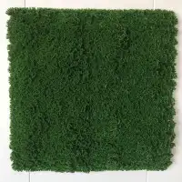 عشب صناعي وجداري وخشب مضلع مستودعات الجملة 21