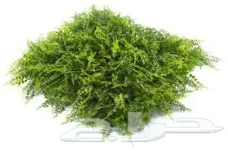 عشب صناعي وجداري وخشب مضلع مستودعات الجملة 15